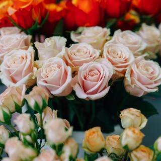 Valentine flowers vertical wallpaper