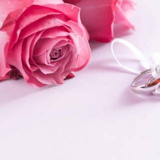 Valentine flowers vertical wallpaper