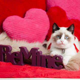 Valentines Day Be Mine wallpaper