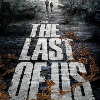 The Last of Us HBO wallpaper