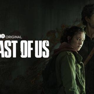 The Last of Us HBO wallpaper