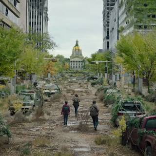 The Last of Us HBO wallpaper