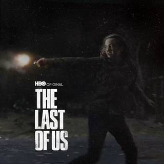 The Last of Us HBO wallpaper
