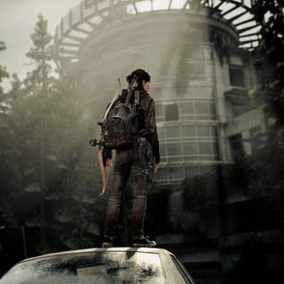 The Last of Us HBO wallpaper