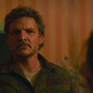 The Last of Us HBO wallpaper