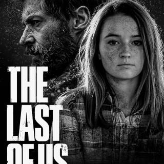 The Last of Us HBO wallpaper