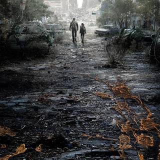 The Last of Us HBO wallpaper