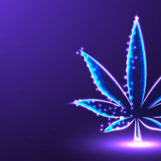 Weed logo wallpaper