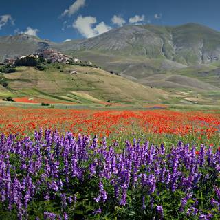Castelluccio Di Norcia Umbria wallpaper