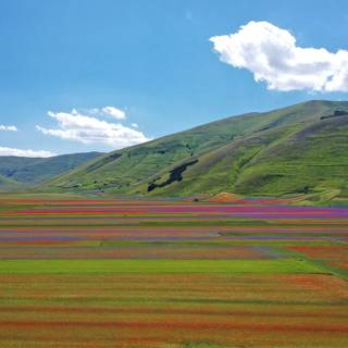 Castelluccio Di Norcia Umbria wallpaper