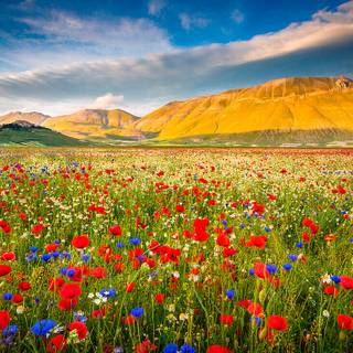 Castelluccio Di Norcia Umbria wallpaper