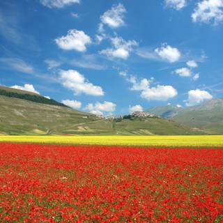 Castelluccio Di Norcia Umbria wallpaper