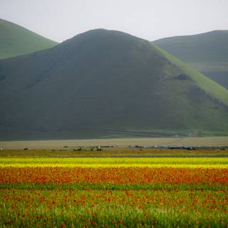 Castelluccio Di Norcia Umbria wallpaper