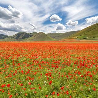 Castelluccio Di Norcia Umbria wallpaper