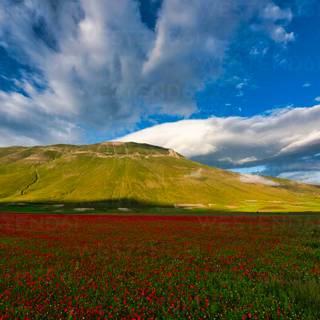 Castelluccio Di Norcia Umbria wallpaper