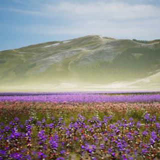 Castelluccio Di Norcia Umbria wallpaper