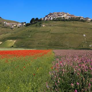 Castelluccio Di Norcia Umbria wallpaper