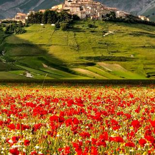 Castelluccio Di Norcia Umbria wallpaper