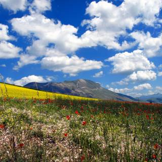 Castelluccio Di Norcia Umbria wallpaper