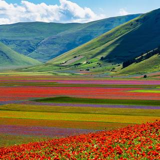 Castelluccio Di Norcia Umbria wallpaper