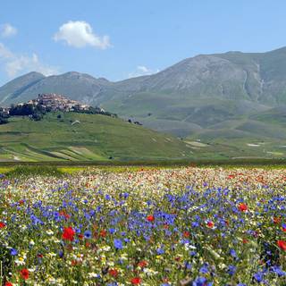 Castelluccio Di Norcia Umbria wallpaper