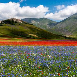 Castelluccio Di Norcia Umbria wallpaper