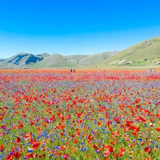 Castelluccio Di Norcia Umbria wallpaper