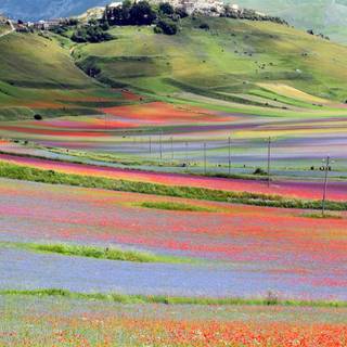 Castelluccio Di Norcia Umbria wallpaper
