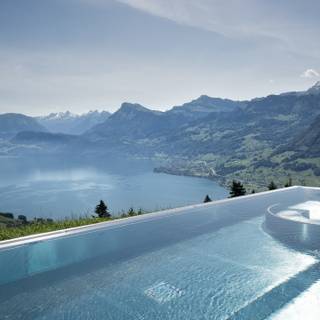 4k swimming wallpaper