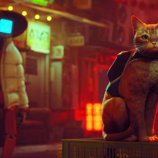 Anime cat gamer wallpaper