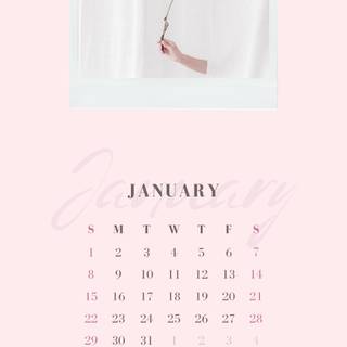 Aesthetic phone 2023 wallpaper