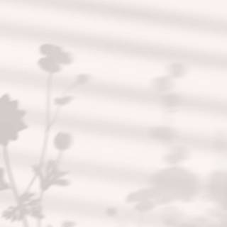 Aesthetic phone 2023 wallpaper