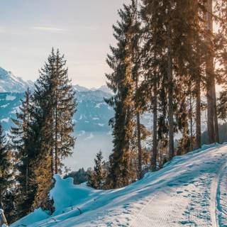 Winter mountains 2560x1440 wallpaper