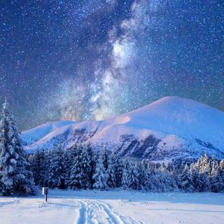 Winter mountains 2560x1440 wallpaper