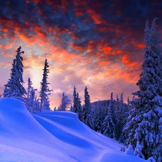 Winter mountains 2560x1440 wallpaper
