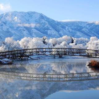 Winter mountains 2560x1440 wallpaper