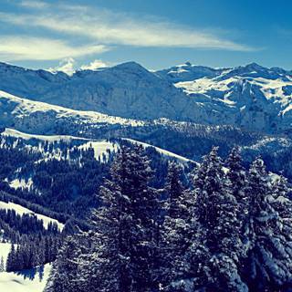 Winter mountains 2560x1440 wallpaper