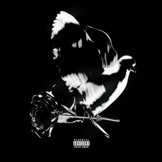 Pop Smoke Woo wallpaper