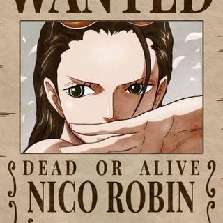 Robin Wanted poster wallpaper