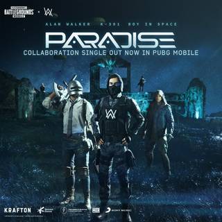 Alan Walker PUBG mobile wallpaper