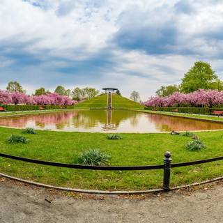 Spring Berlin wallpaper