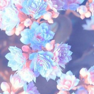 Spring aesthetic blue wallpaper