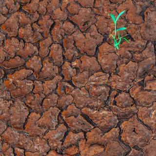 Desertification wallpaper