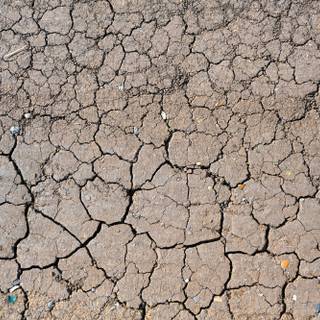 Desertification wallpaper