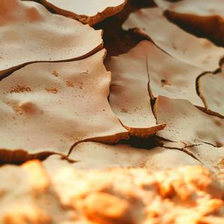 Desertification wallpaper