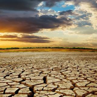 Desertification wallpaper