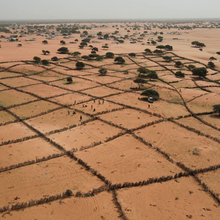 Desertification wallpaper