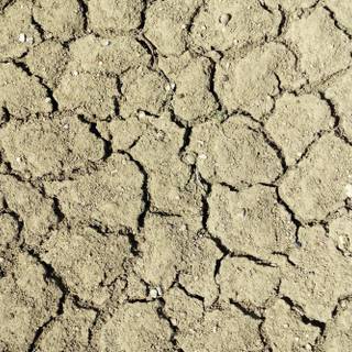 Desertification wallpaper