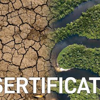 Desertification wallpaper