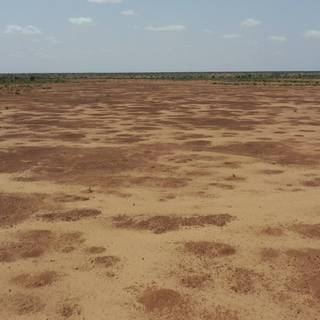 Desertification wallpaper
